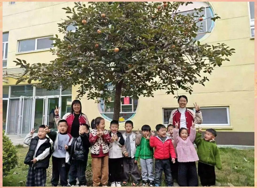 柿子季里的童梦工厂 一场从树梢到舌尖的成长冒险